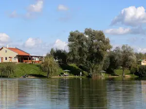 Fish Farm Fishing - Zsennye