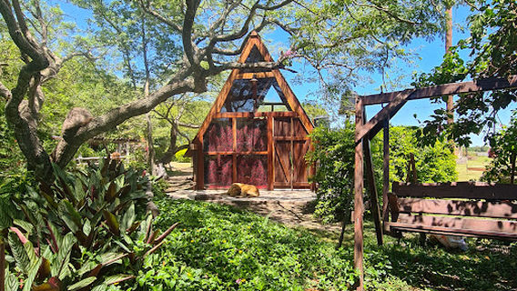 Finca Doña Tuty. Cabaña y Camping.
