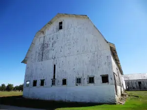 Official Randolph County Asylum/Infirmary