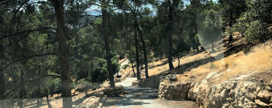 The new National Park Debbin