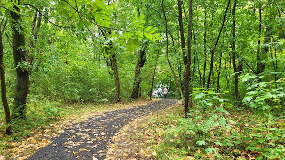 Tavirózsa tanösvény