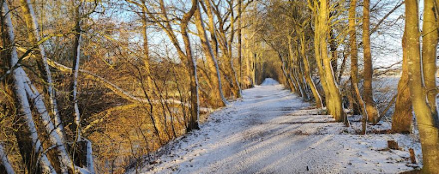 Kiessee Marienhafe