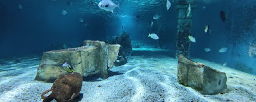 Theme Park Marine Aquarium GmbH