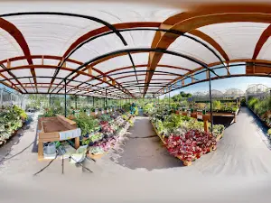 Les Serres Legault Greenhouses