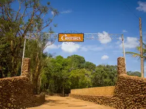 Birth of the Park