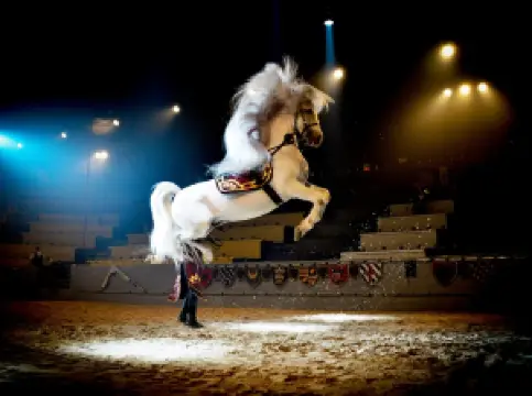 Medieval Times Dinner & Tournament