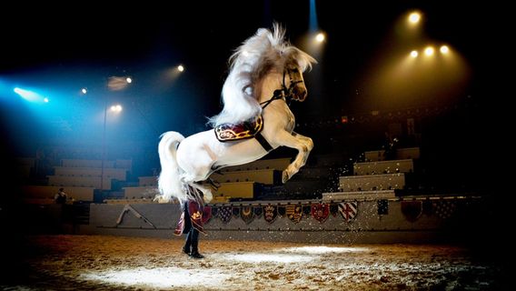 Medieval Times Dinner & Tournament