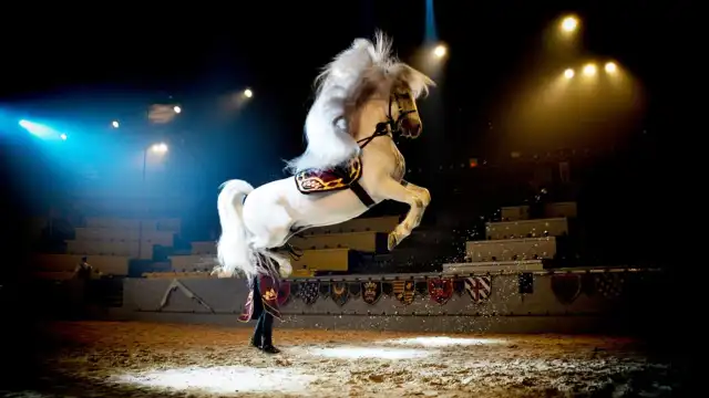 Hotels near Medieval Times Dinner & Tournament