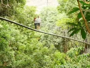 Lake Manyara Treetop Walkway
