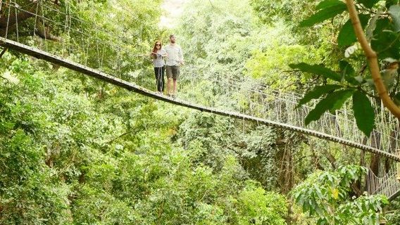 Lake Manyara Treetop Walkway