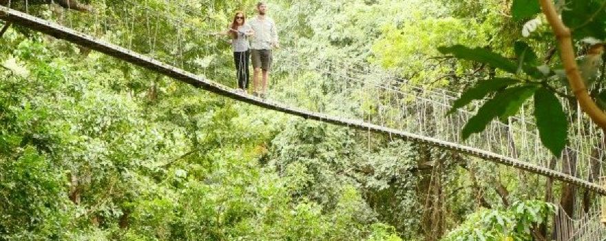 Lake Manyara Treetop Walkway