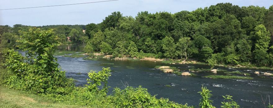 Old Mill Park