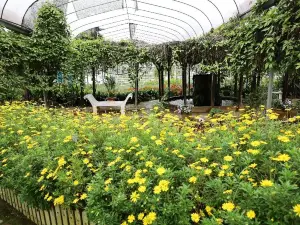 아그로 테크놀러지 파크 마디 카메론 하이랜드