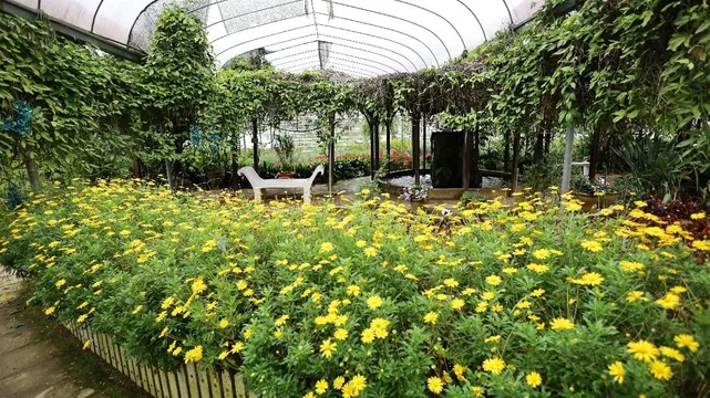 1_Agro Technology Park MARDI Cameron Highlands