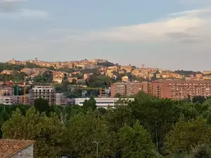 Stadio Renato Curi