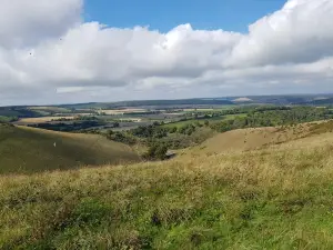 Queen Elizabeth Country Park