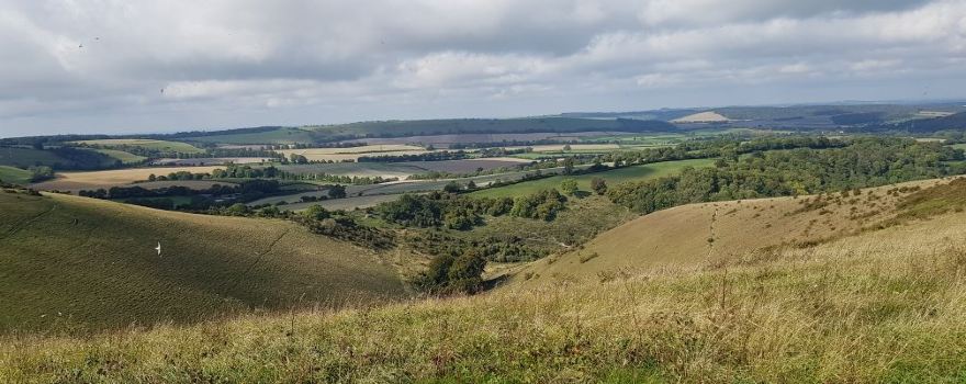 Queen Elizabeth Country Park