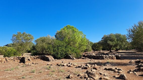 Parco Archeologico Naturalistico di Santa Cristina