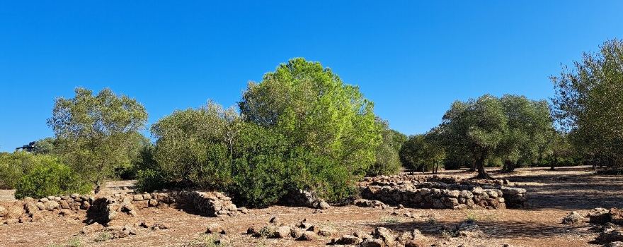 Parco Archeologico Naturalistico di Santa Cristina