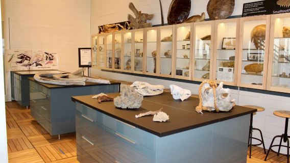 Tybee Island Marine Science Center