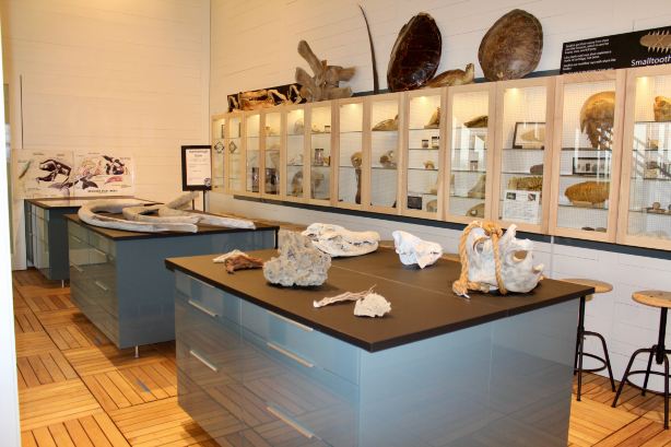 Tybee Island Marine Science Center