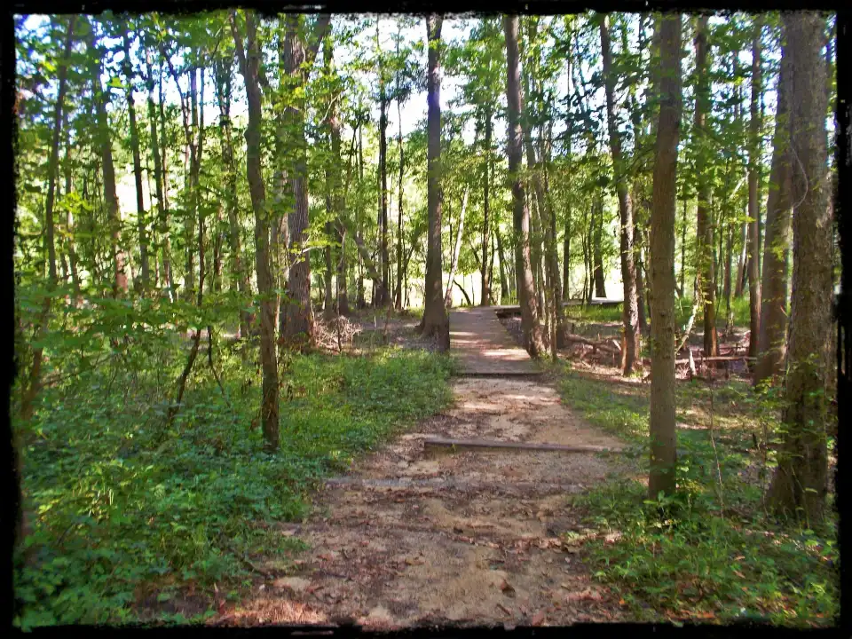 4_Colleton State Park