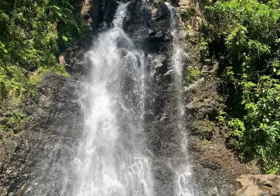 Bouma National Heritage Park