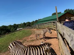 Chestatee Wildlife Preserve & Zoo