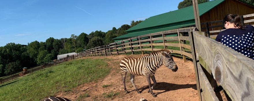 Chestatee Wildlife Preserve & Zoo