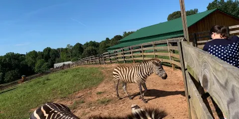 Chestatee Wildlife Preserve & Zoo