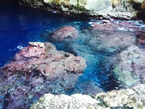 The Grotto