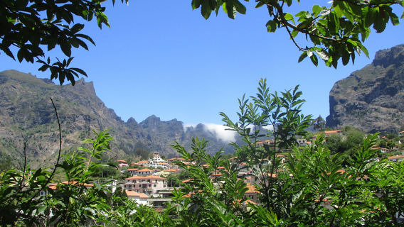 Camara de Lobos