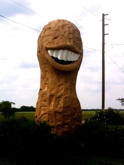 5_The Smiling Peanut (Jimmy Carter Commemoration)
