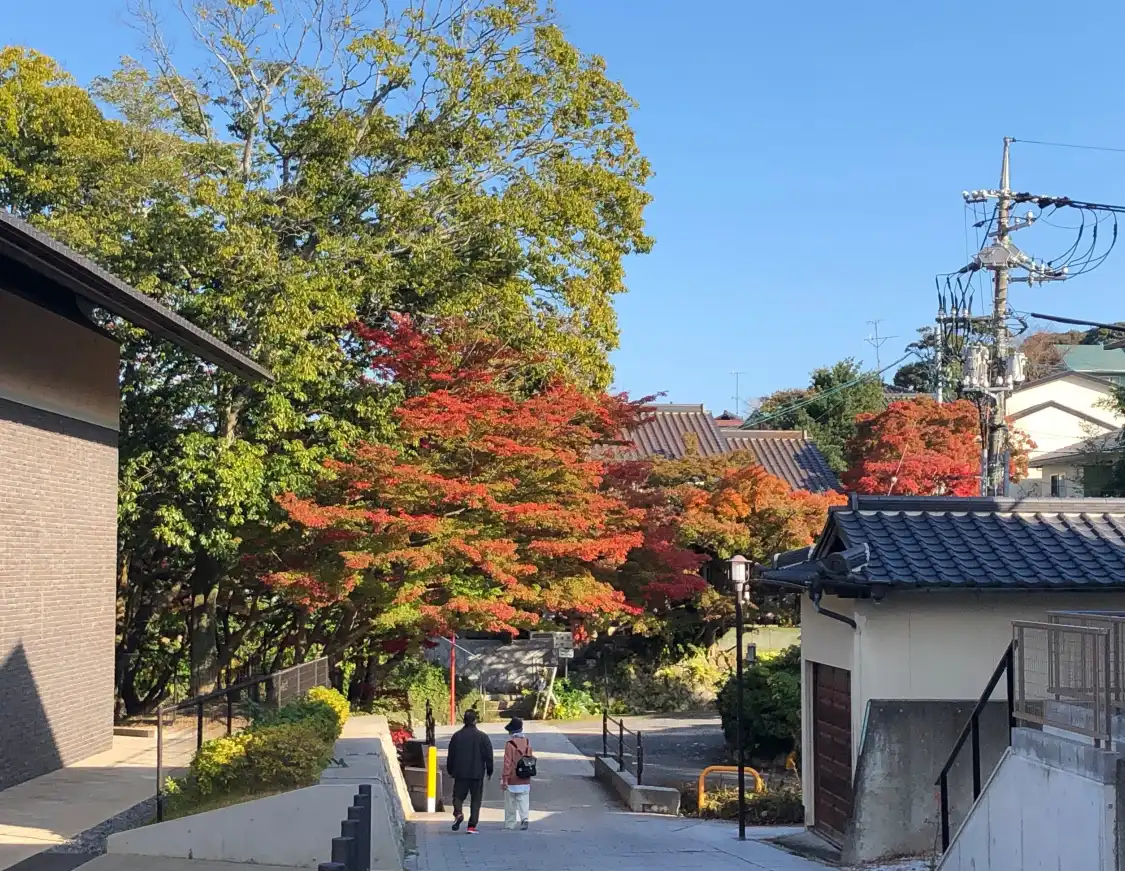 Hotel in zona Kōzan-ji Temple