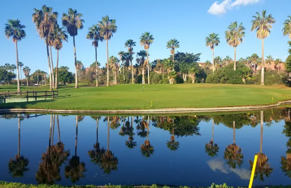 聖米格爾德阿沃納