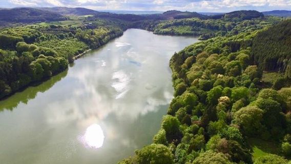 Castlewellan Forest Park