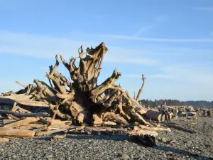 Rialto Beach