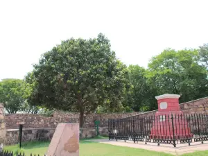 The Kala Amb Park
