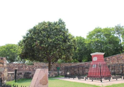 Panipat
