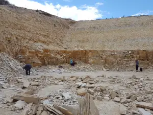 Fossil Lake Safari