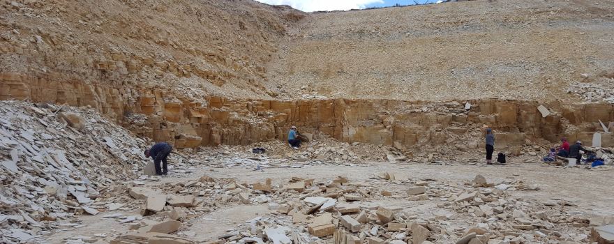 Fossil Lake Safari