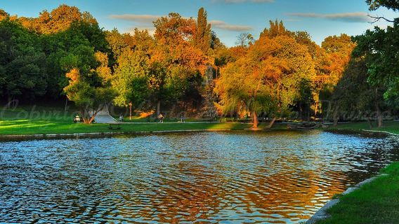 Nicolae Romanescu Park
