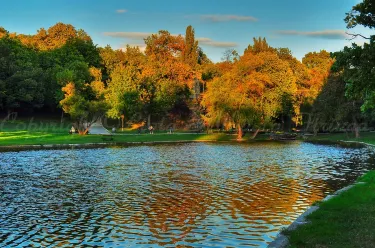 Dolj