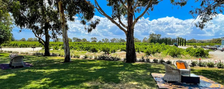 Charles Melton Wines