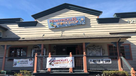 Pennypickle's Workshop
