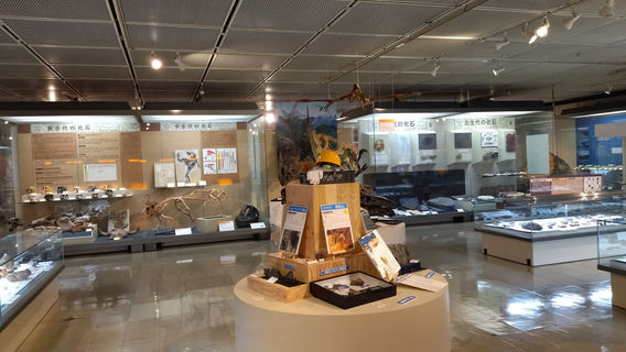 Tottori Prefectural Museum