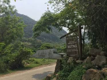 Hoa Binh