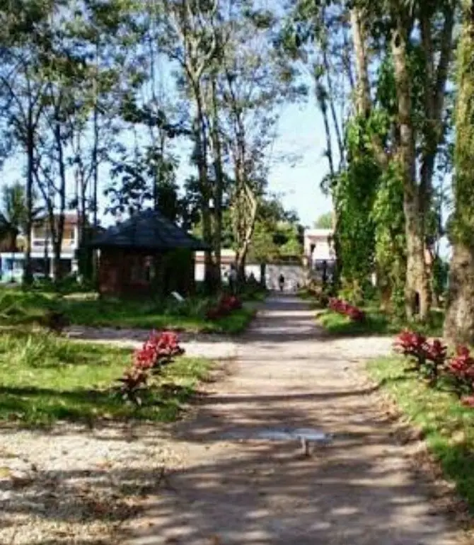 Ананиндеуа
