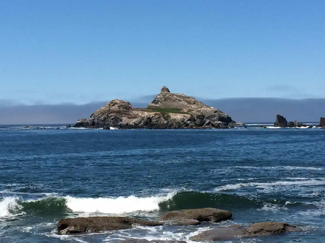 Hotels near Castle Island