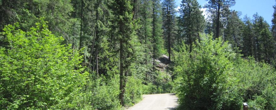 Texas Creek Campground